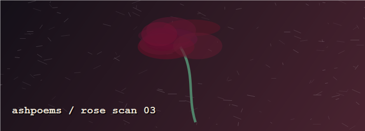 Ashpoems rose scan banner